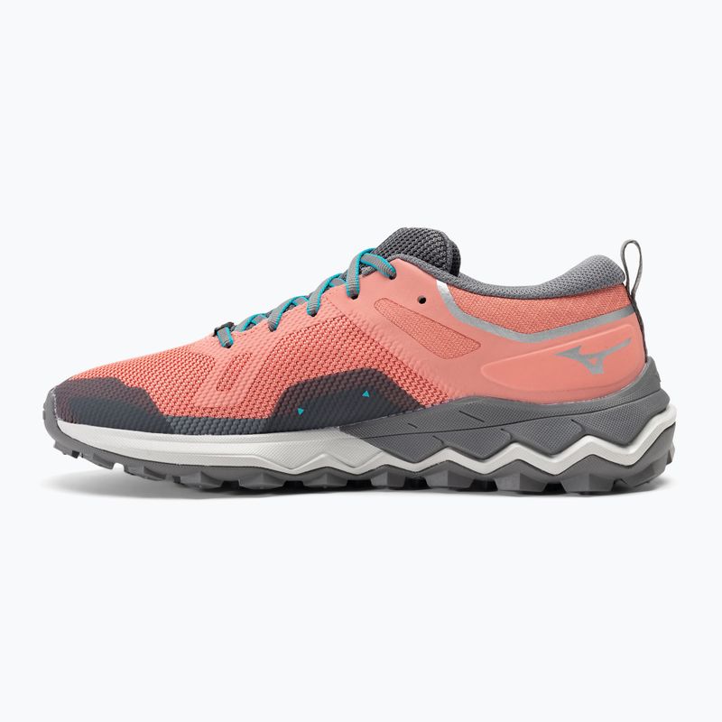 Scarpe da corsa da donna Mizuno Wave Ibuki 4 GTX lantana/quiet shade/buebird 10