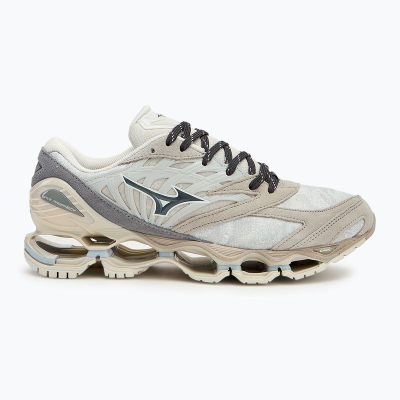 Mizuno Wave Prophecy LS scarpe nimbus cloud/magnet/silver cloud 2