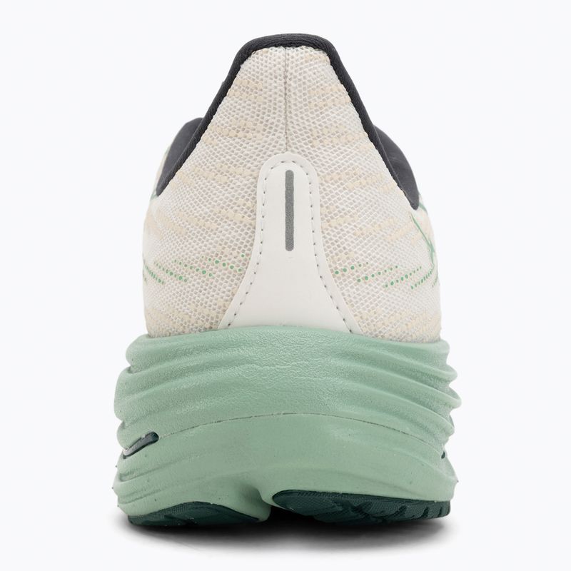 Scarpe da corsa da uomo Mizuno Wave Rider 29 bianco/verde bistrot/crema di me 6