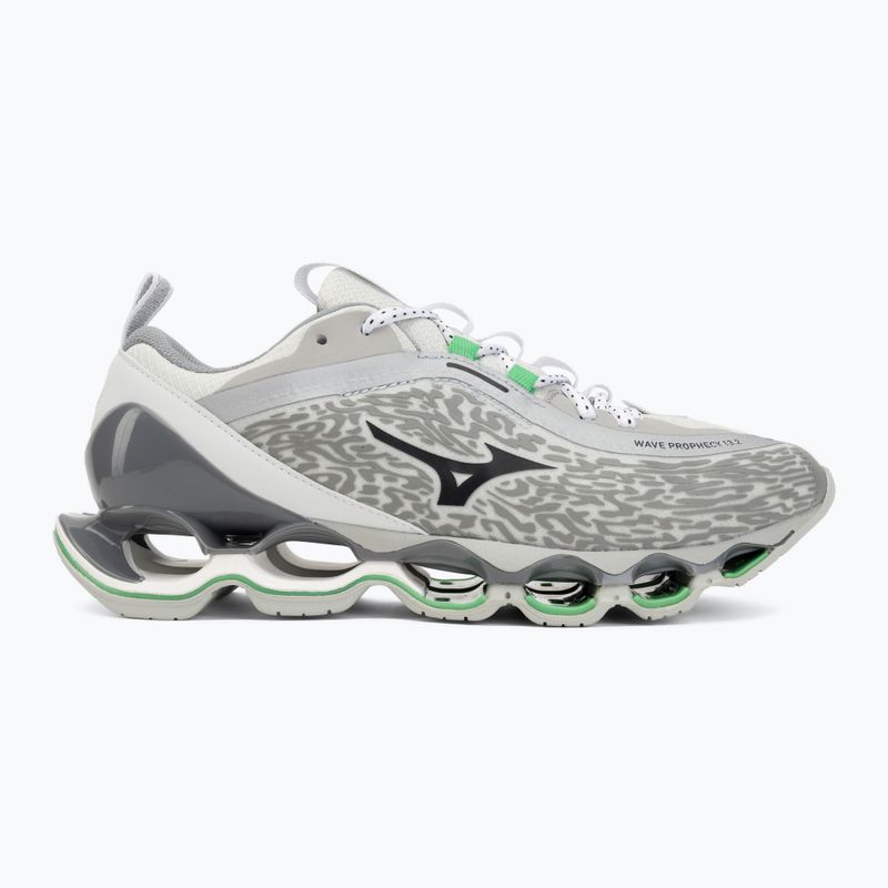 Scarpe Mizuno Wave Prophecy 13.2 harbor mist/black/vibrant green 2