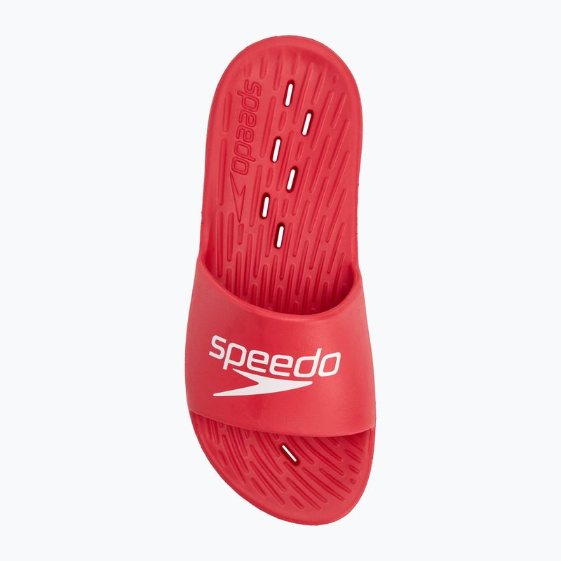 Speedo Slide da uomo, ciabiatte fed red 5