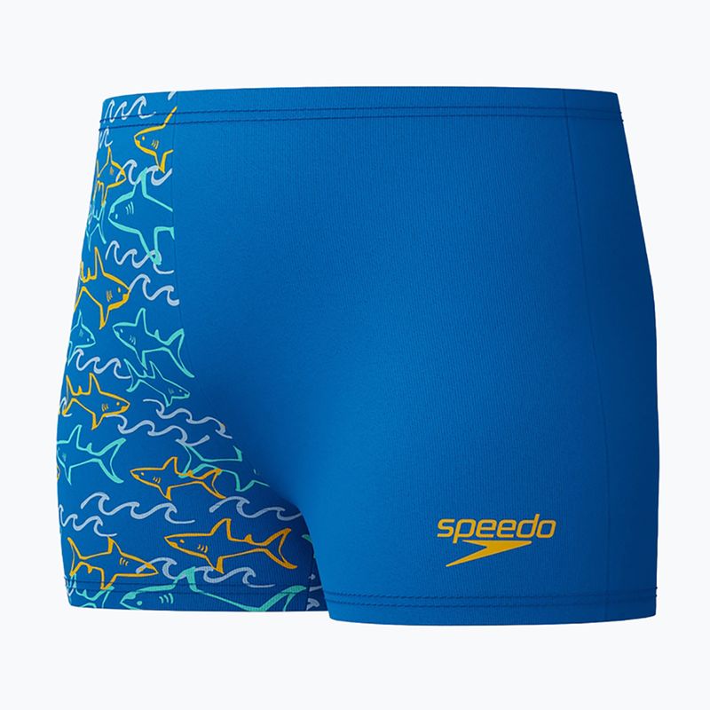 Speedo Digital Allover Aquashort boxer nuoto bambino blu laguna 3