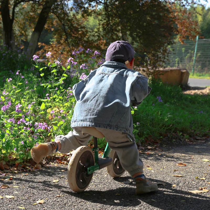 Bicicletta da fondo Qplay Trainer verde 6