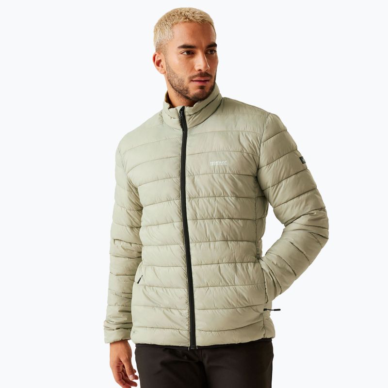 REGATTA piumino Marizion uomo abbeystone/nefrite verde