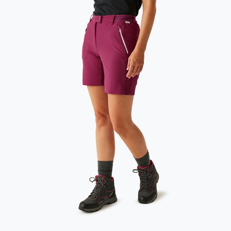 Pantaloncini da trekking da donna REGATTA Mountain II beaujolais