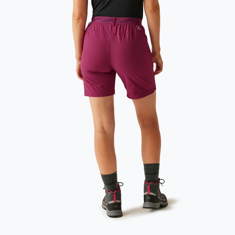 Pantaloncini da trekking da donna REGATTA Mountain II beaujolais 3