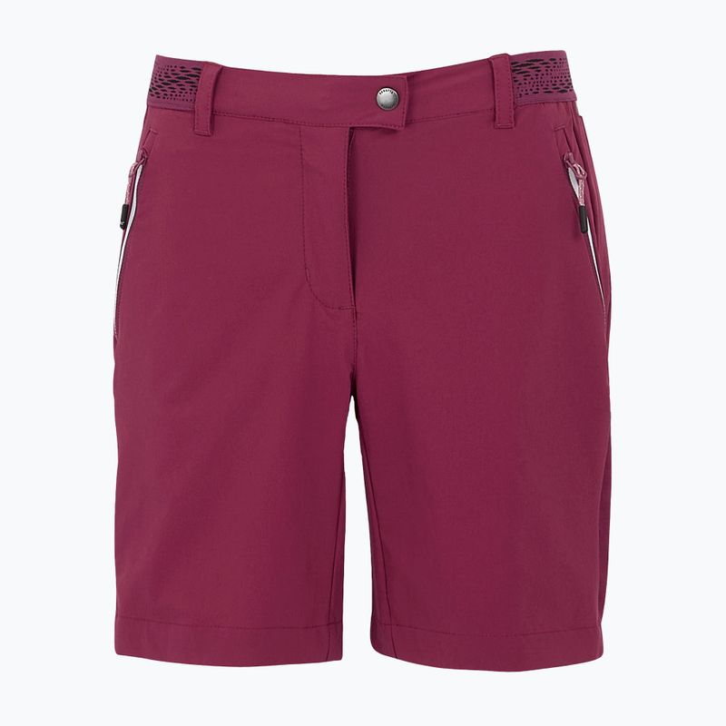 Pantaloncini da trekking da donna REGATTA Mountain II beaujolais 5