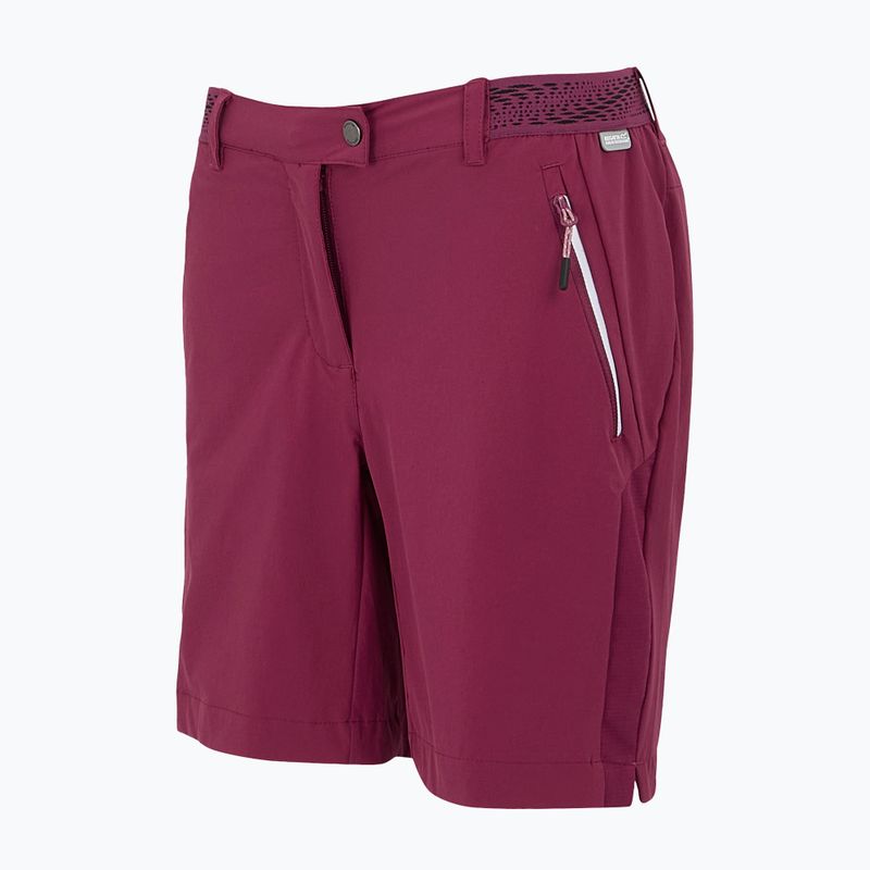 Pantaloncini da trekking da donna REGATTA Mountain II beaujolais 7