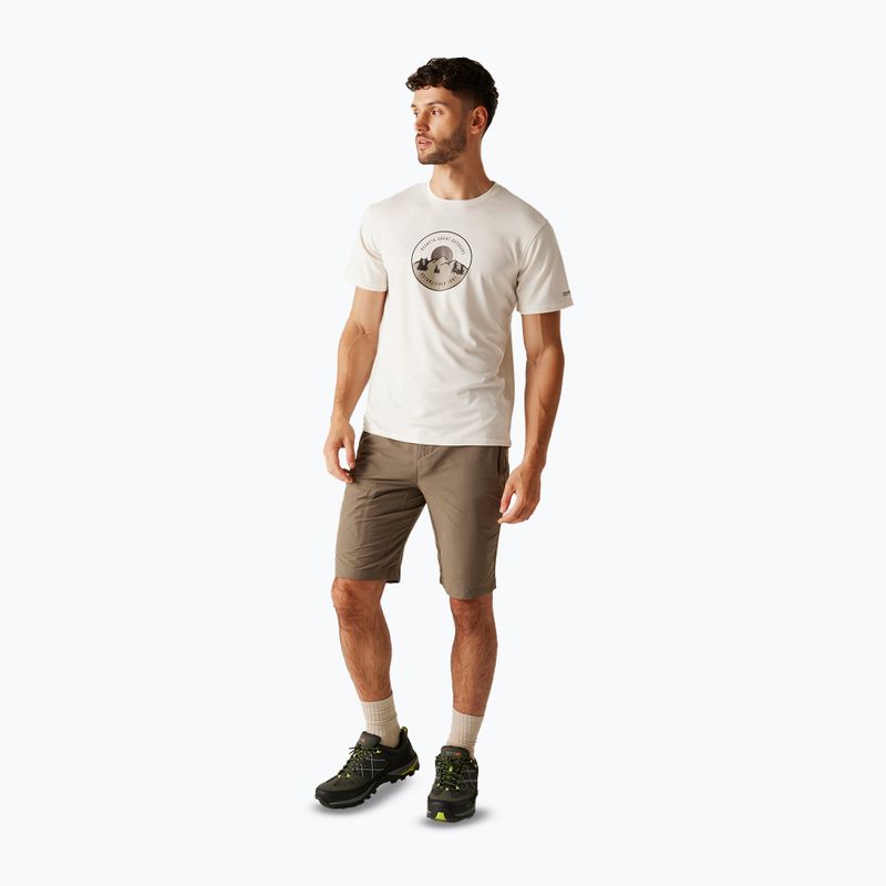 Camicia da trekking da uomo REGATTA Fingal IX stone white 2