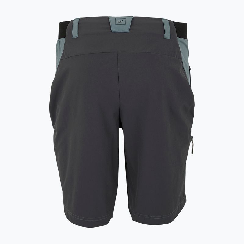 Pantaloncini da trekking da uomo REGATTA Eldes per il tempo burrascoso/ash 6