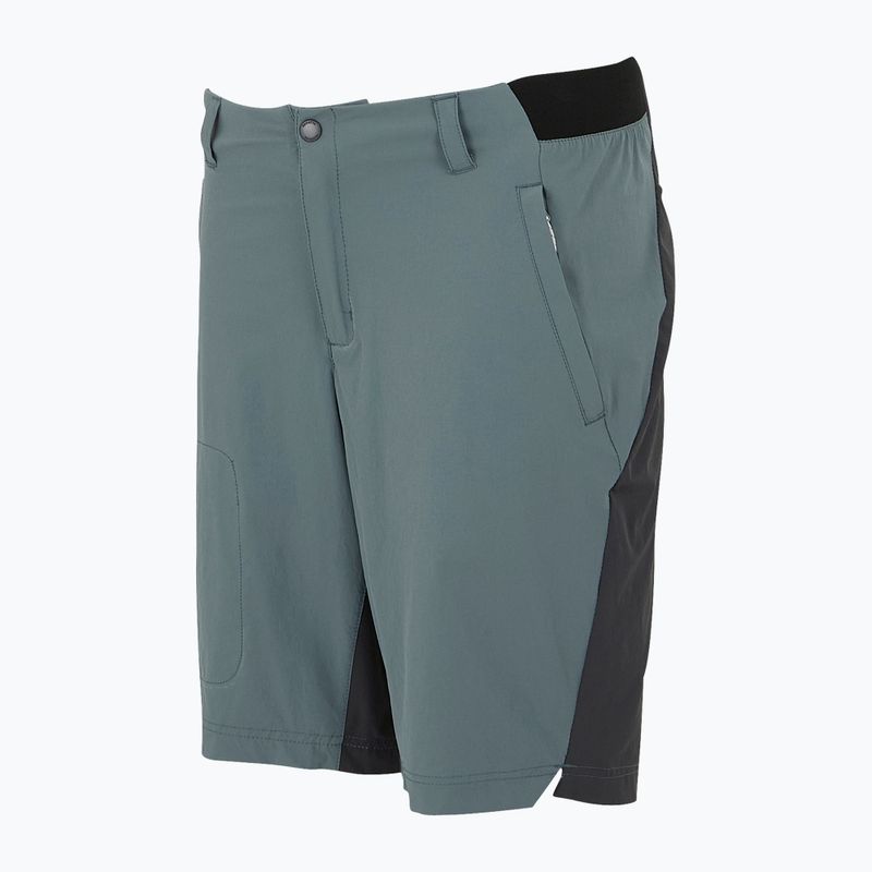 Pantaloncini da trekking da uomo REGATTA Eldes per il tempo burrascoso/ash 7