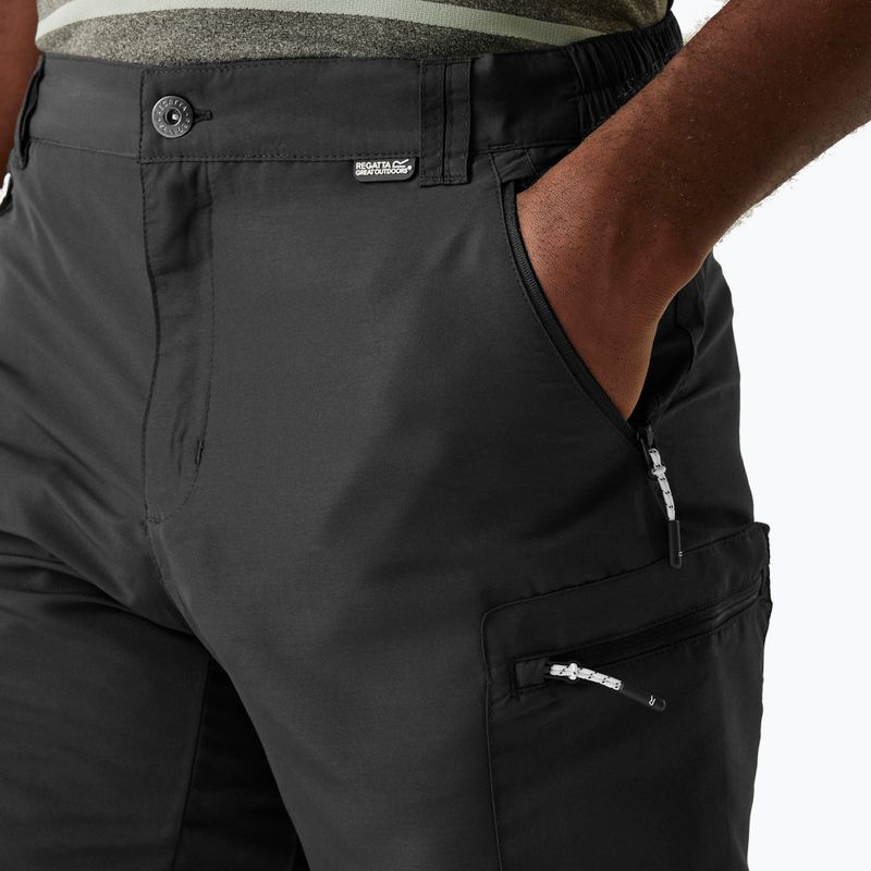 Pantaloncini da trekking REGATTA Leesville III ash da uomo 4
