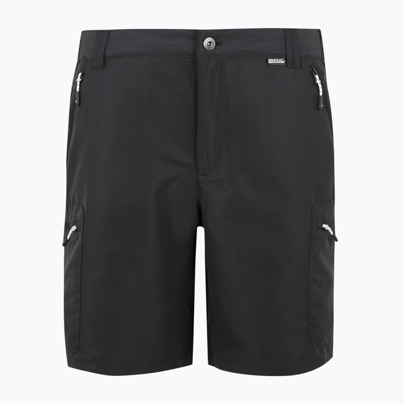 Pantaloncini da trekking REGATTA Leesville III ash da uomo 5