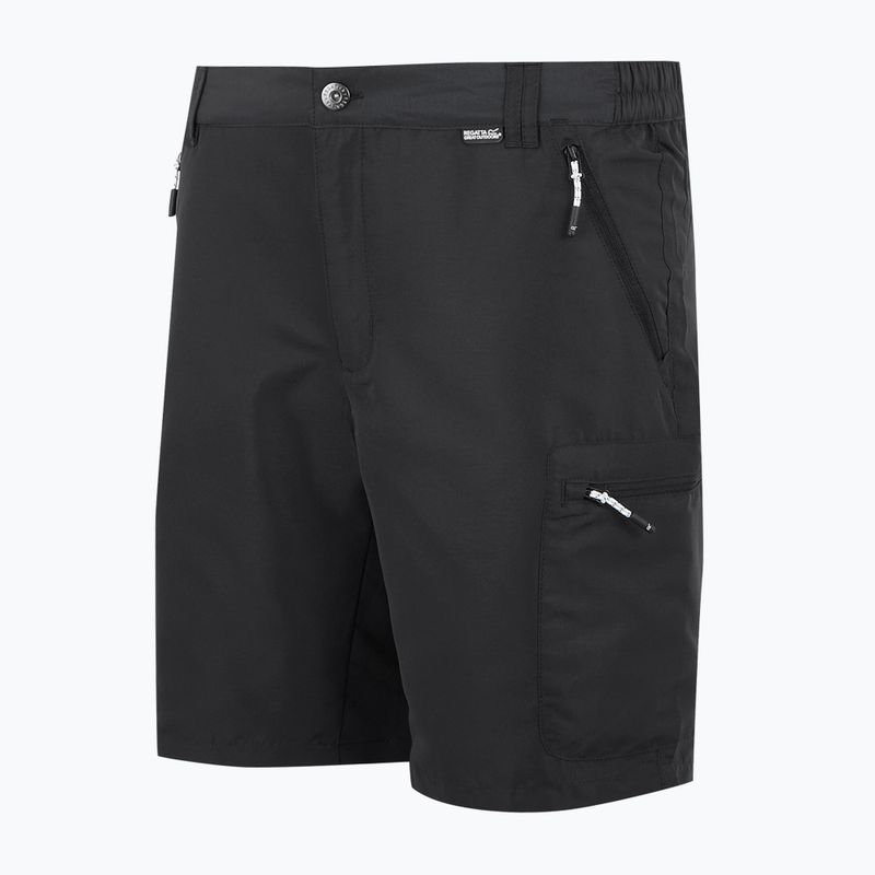 Pantaloncini da trekking REGATTA Leesville III ash da uomo 7