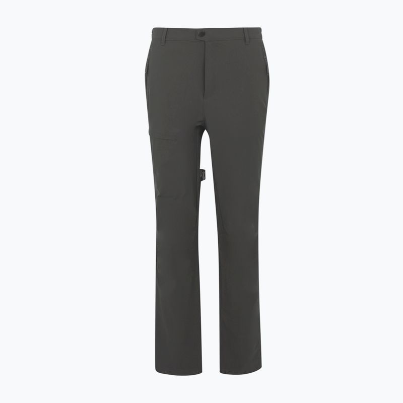 Pantaloni da trekking da uomo REGATTA Highton II ash 5