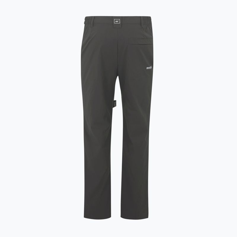 Pantaloni da trekking da uomo REGATTA Highton II ash 6