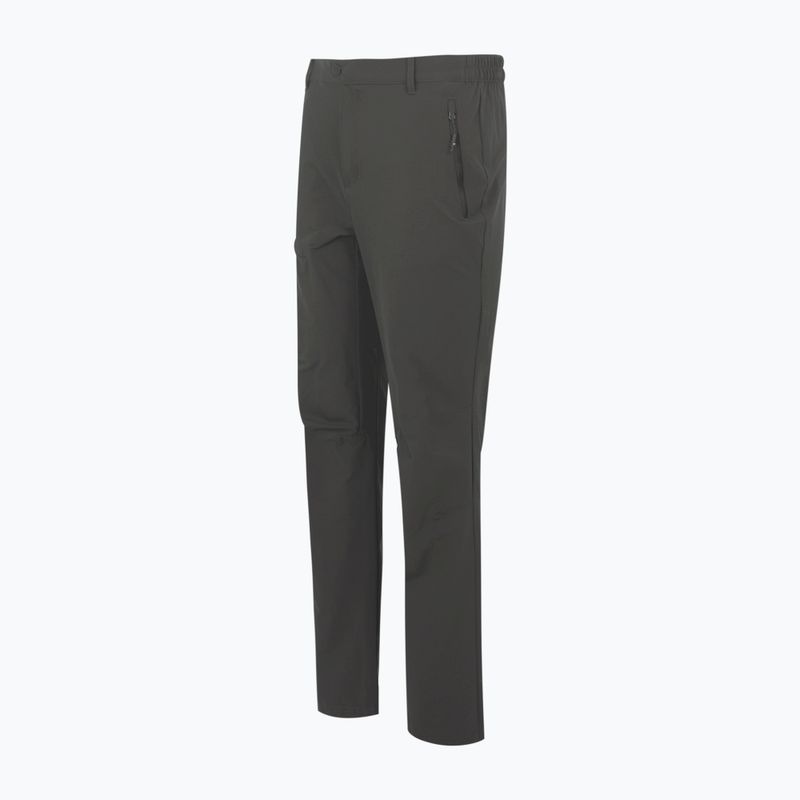 Pantaloni da trekking da uomo REGATTA Highton II ash 7