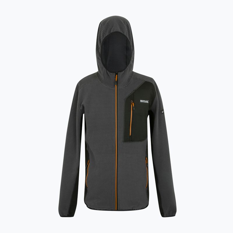 Felpa REGATTA Lakewright uomo cenere/nero 7