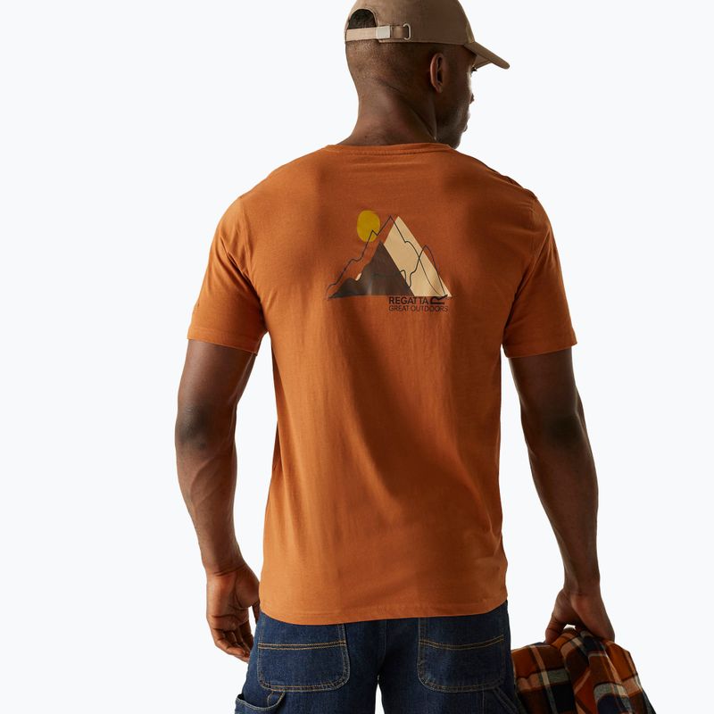 T-shirt uomo REGATTA ClineIX glazed ginger 3