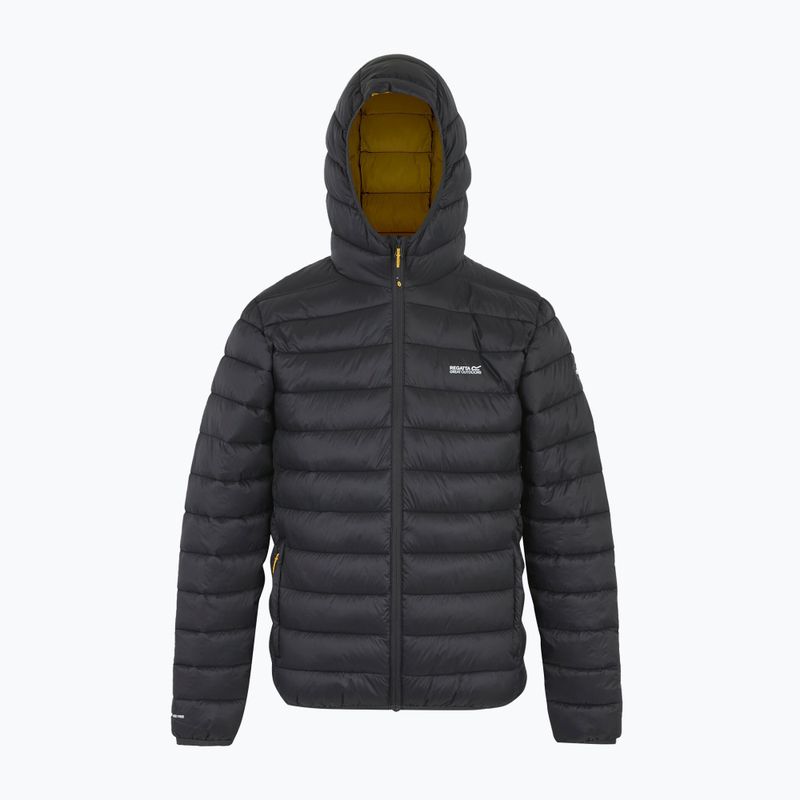 Giacca da uomo REGATTA Hooded Marizion ash/gold 8