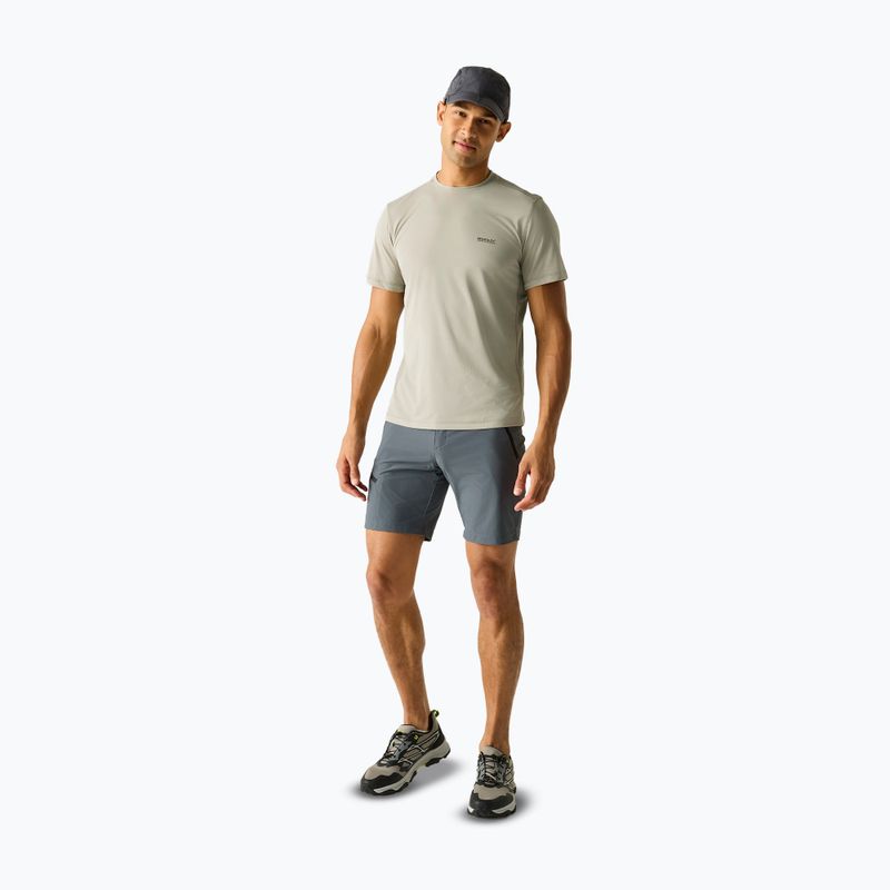 Maglietta da uomo REGATTA Mindoi Anti Insect abbeystone 2