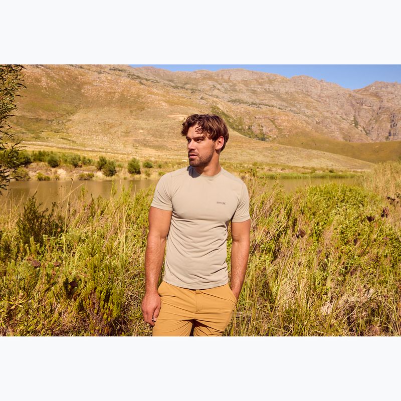 Maglietta da uomo REGATTA Mindoi Anti Insect abbeystone 9