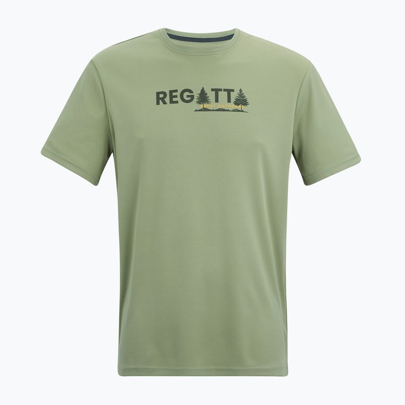 Maglietta da trekking da uomo REGATTA Fingal light sage 5