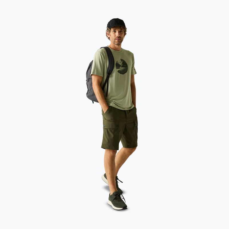 Maglietta da trekking da uomo REGATTA Fingal Stretch light sage 2