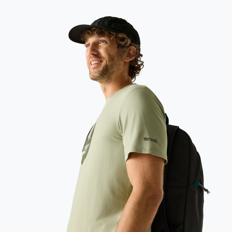 Maglietta da trekking da uomo REGATTA Fingal Stretch light sage 4