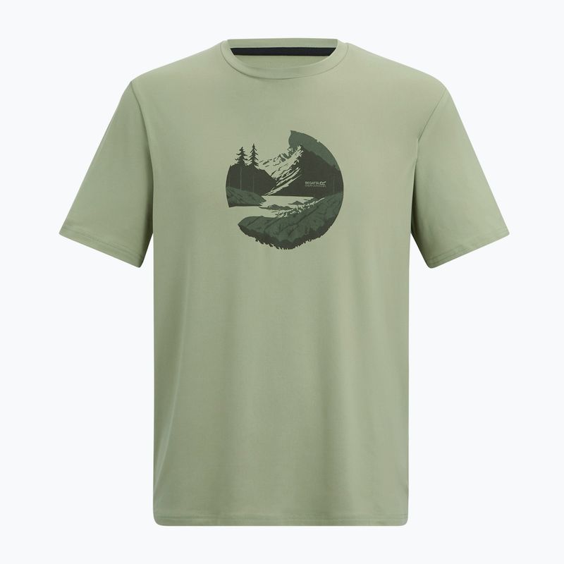 Maglietta da trekking da uomo REGATTA Fingal Stretch light sage 5