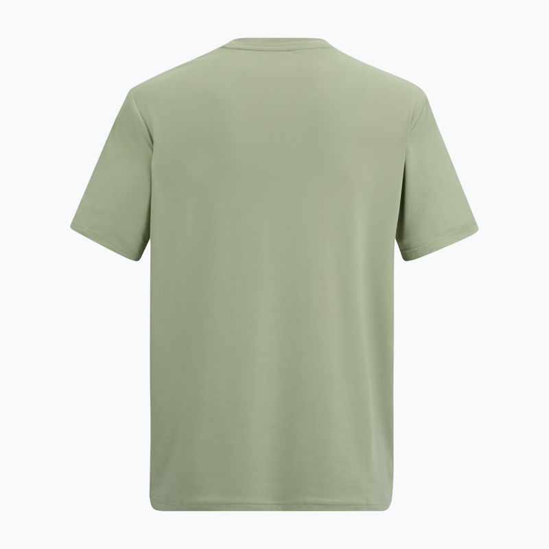 Maglietta da trekking da uomo REGATTA Fingal Stretch light sage 6