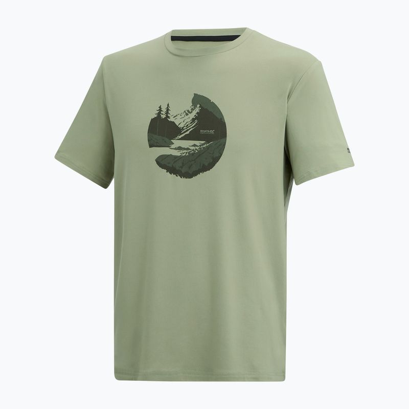 Maglietta da trekking da uomo REGATTA Fingal Stretch light sage 7