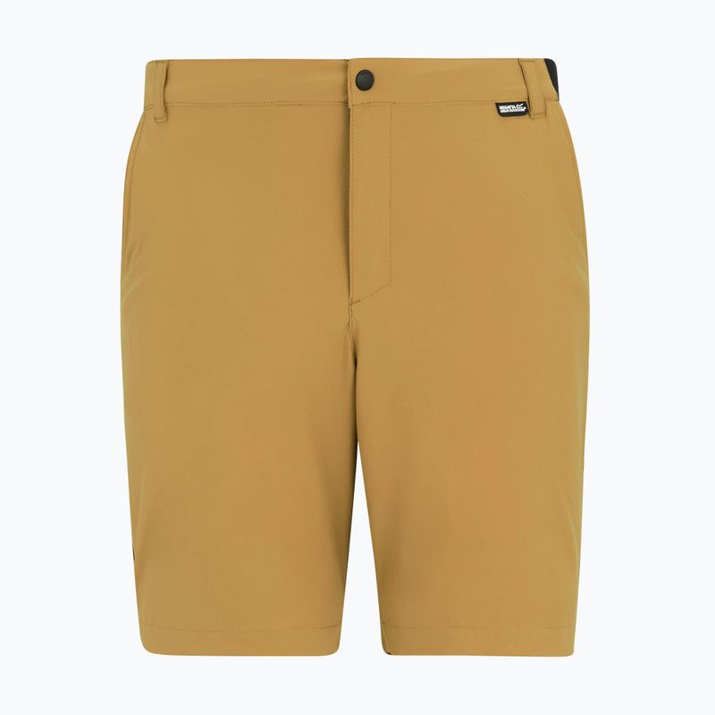 Pantaloncini da trekking da uomo REGATTA Anti Insect Travel Light wood brown 5