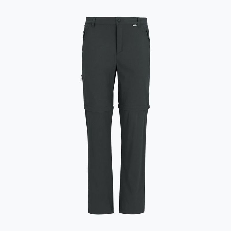 Pantaloni da trekking da uomo REGATTA Anti Insect Travel Light ash 8