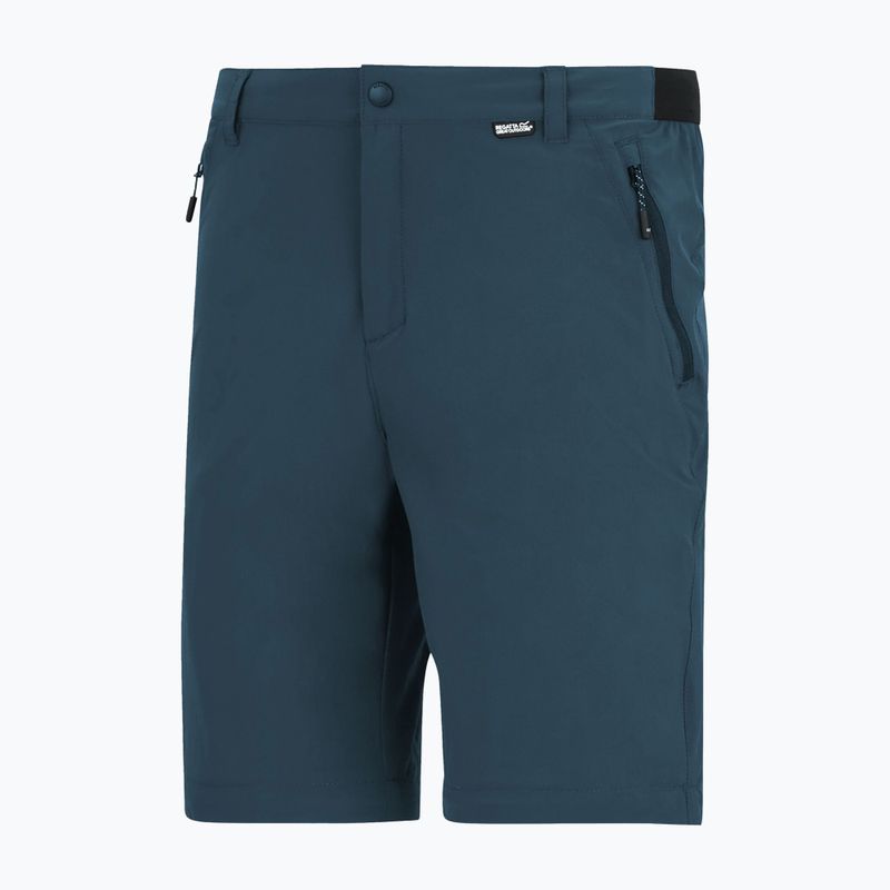 Pantaloni da trekking da uomo REGATTA Anti Insect Travel Light night sky 6