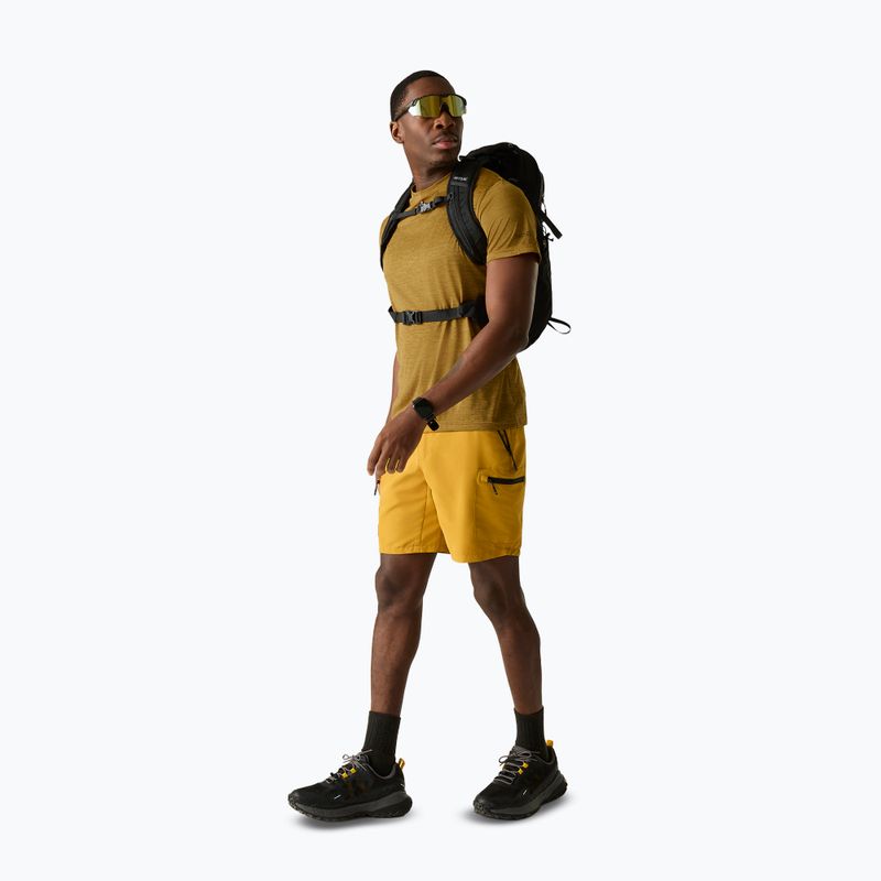 Maglietta da trekking da uomo REGATTA Fingal Edition wood brown 2