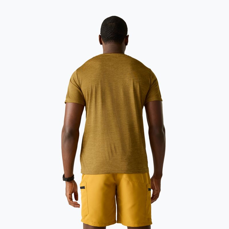 Maglietta da trekking da uomo REGATTA Fingal Edition wood brown 3