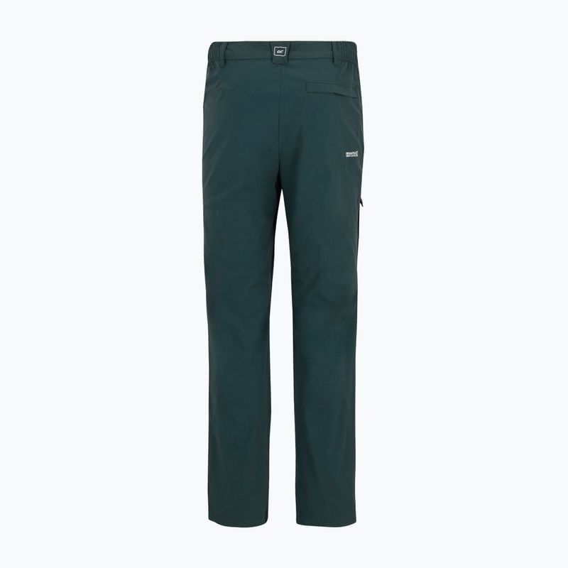 Pantaloni da trekking da uomo REGATTA Highton II night sky 9