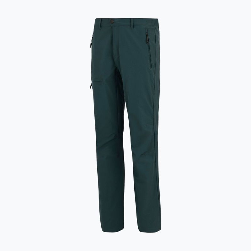 Pantaloni da trekking da uomo REGATTA Highton II night sky 10