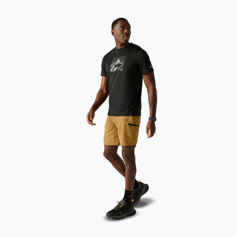 Pantaloncini da trekking da uomo REGATTA Leesville III wood brown 2