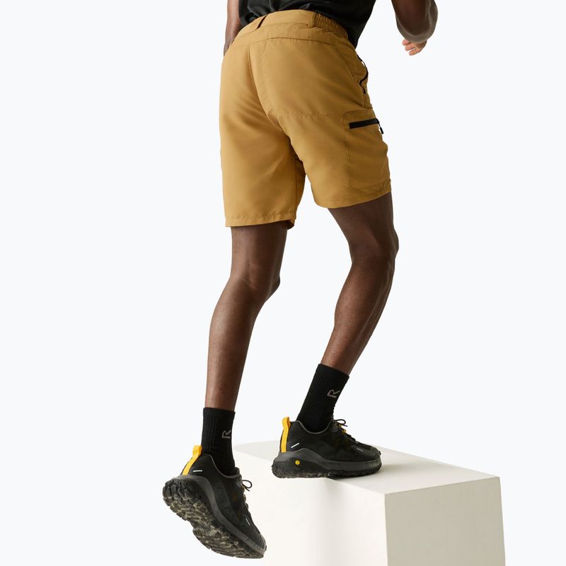 Pantaloncini da trekking da uomo REGATTA Leesville III wood brown 4