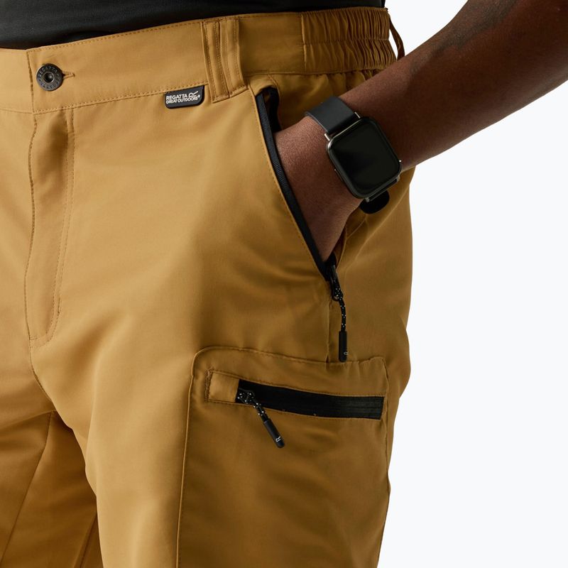 Pantaloncini da trekking da uomo REGATTA Leesville III wood brown 5