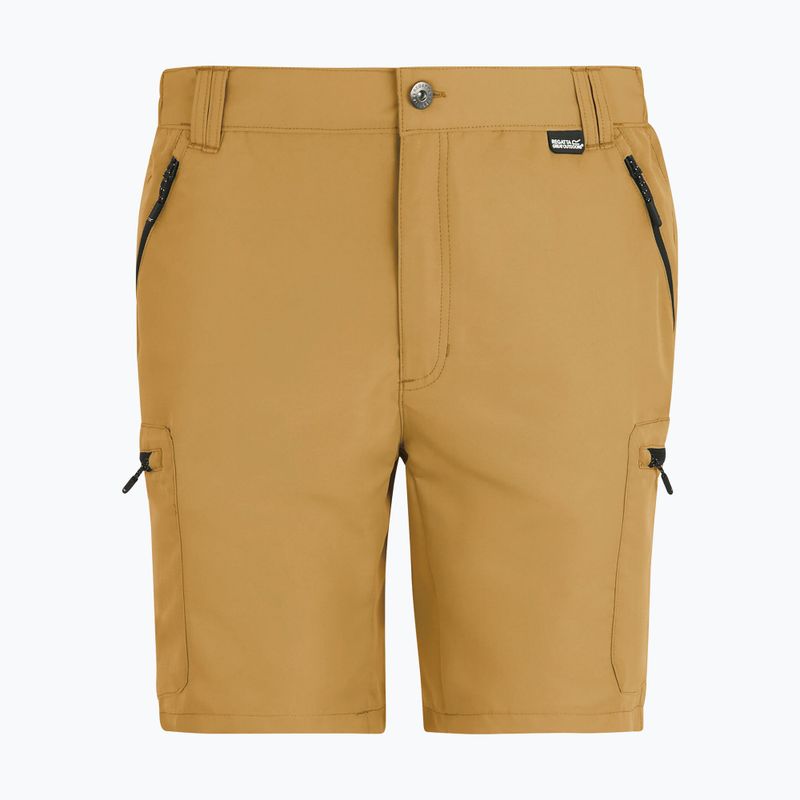 Pantaloncini da trekking da uomo REGATTA Leesville III wood brown 6