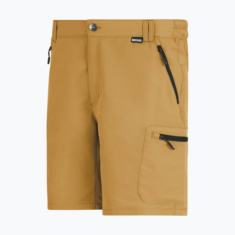 Pantaloncini da trekking da uomo REGATTA Leesville III wood brown 8