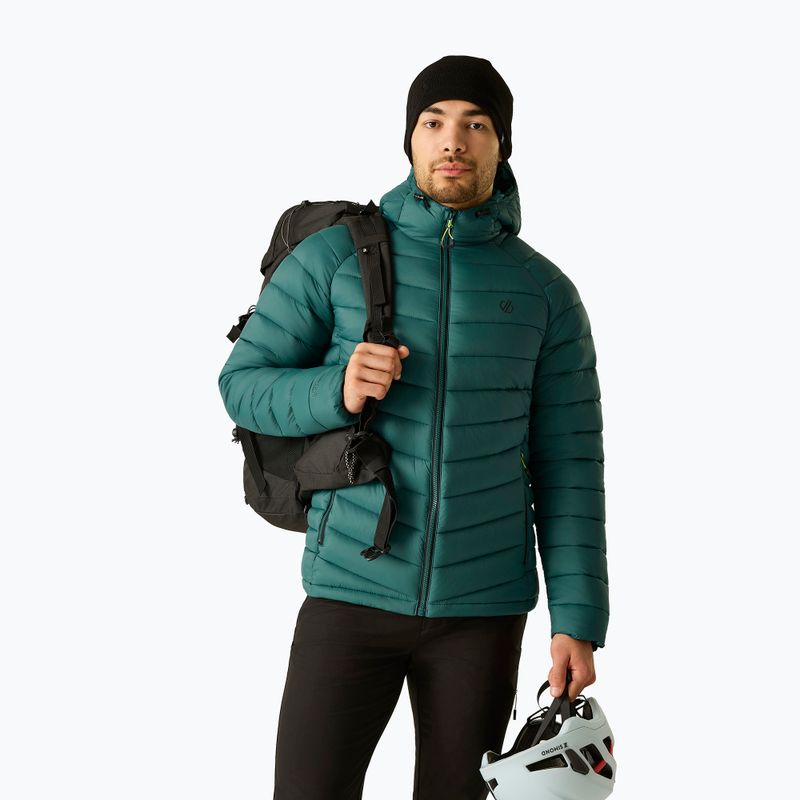Giacca imbottita da uomo Dare 2b Torrek Padded Jacket mediterranea 4