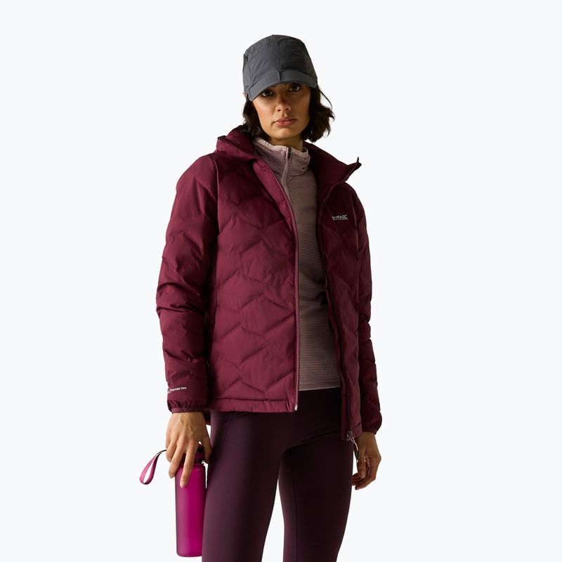 Giacca imbottita da donna REGATTA Deyla fig 5