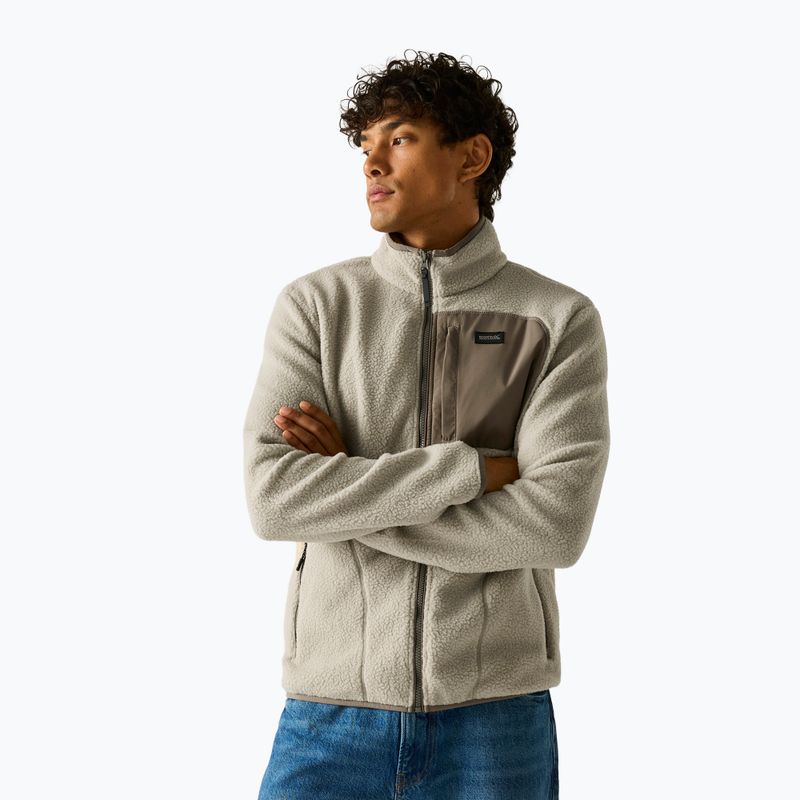 Pile uomo REGATTA Frankie Borg abbeystone/smokey olive 4