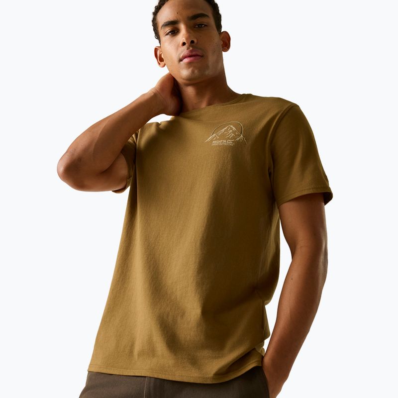 T-shirt da uomo Regatta ClineIX rich tan original outdoor 4