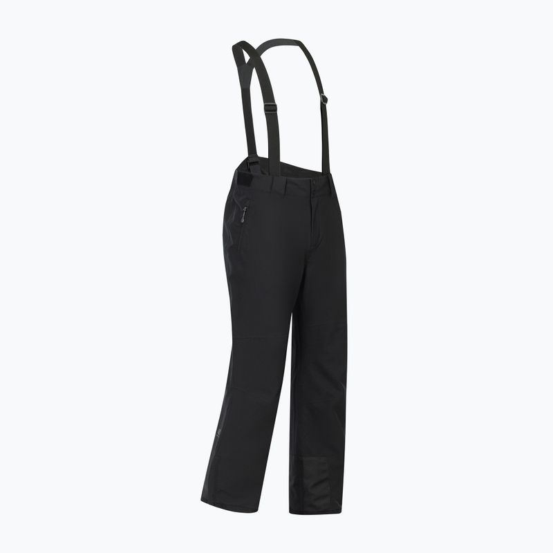 Pantaloni da sci da uomo Dare 2b Achieve III Pant black 10
