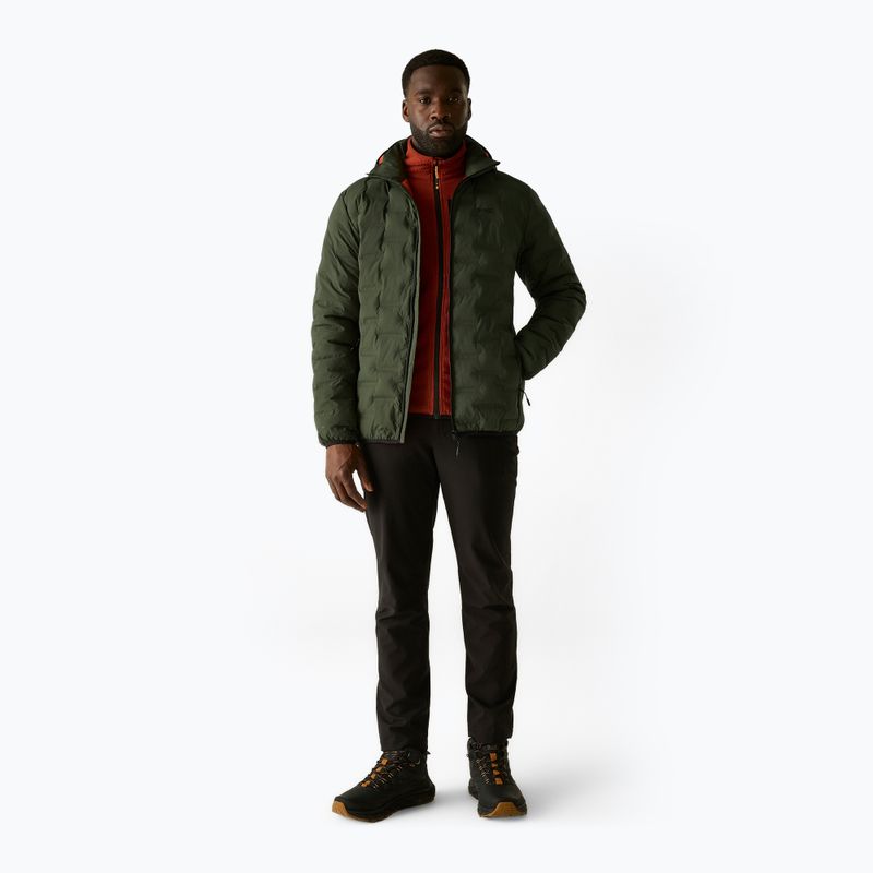 Giacca imbottita da uomo REGATTA Astrel dark khaki/rooibos tea 2